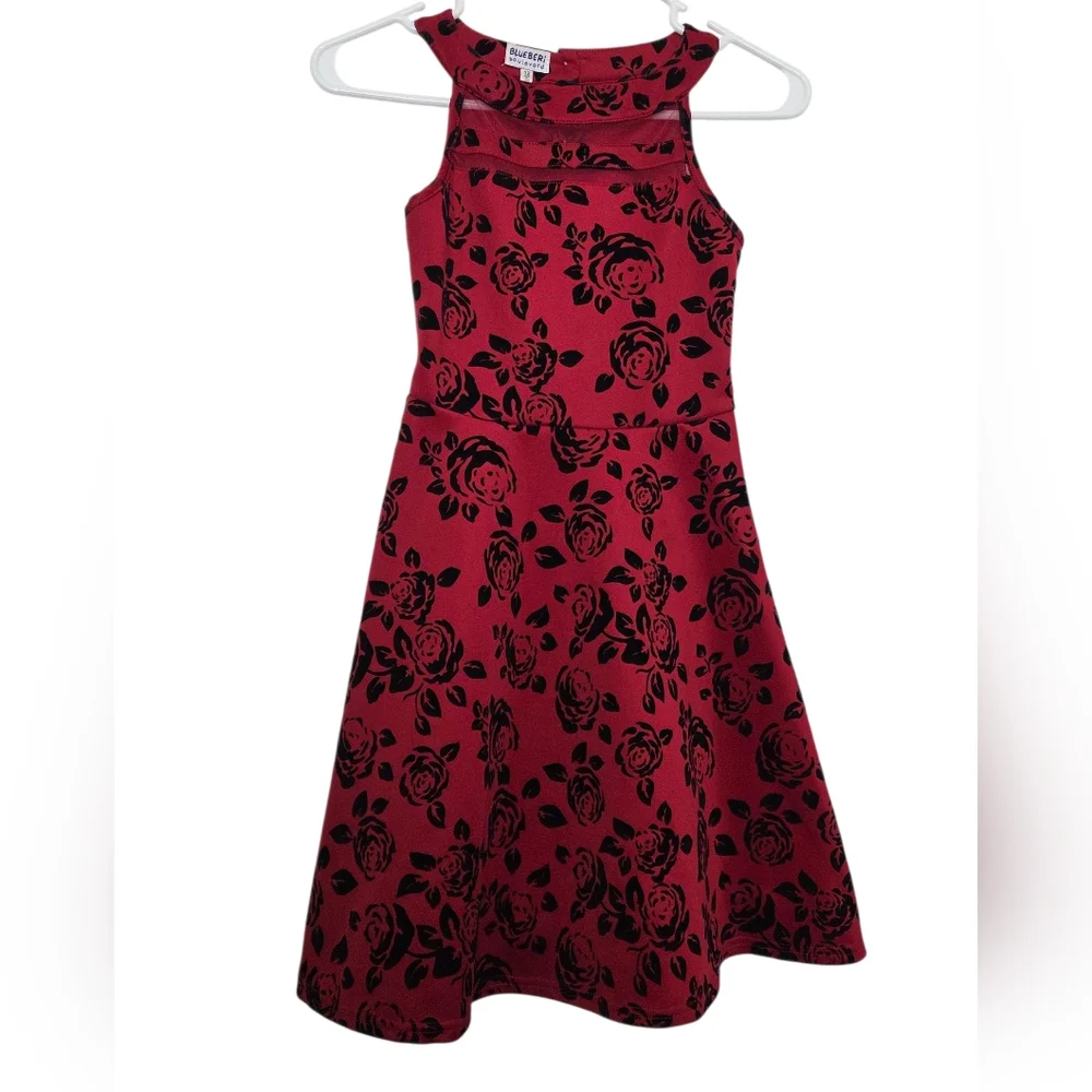 Bluebery Boulevard Red and Black Floral Kids Dress Sz 12